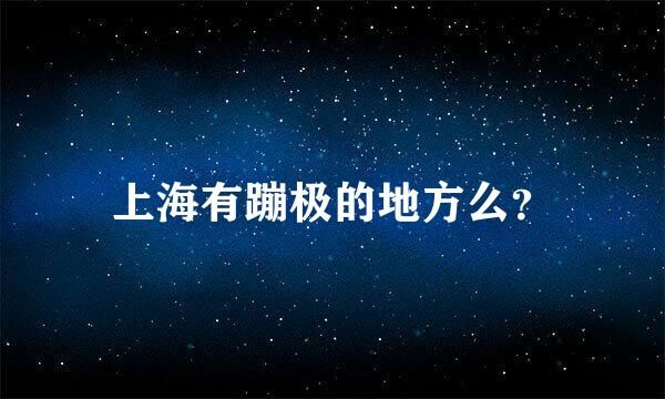 上海有蹦极的地方么？