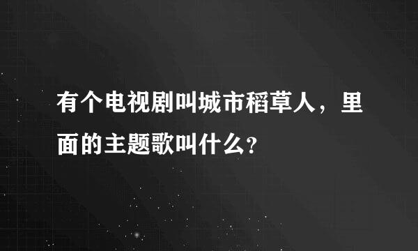 有个电视剧叫城市稻草人，里面的主题歌叫什么？