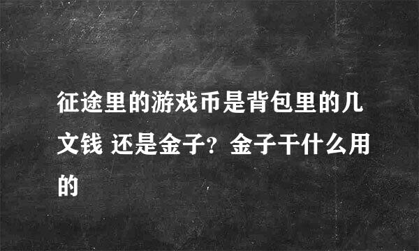 征途里的游戏币是背包里的几文钱 还是金子？金子干什么用的