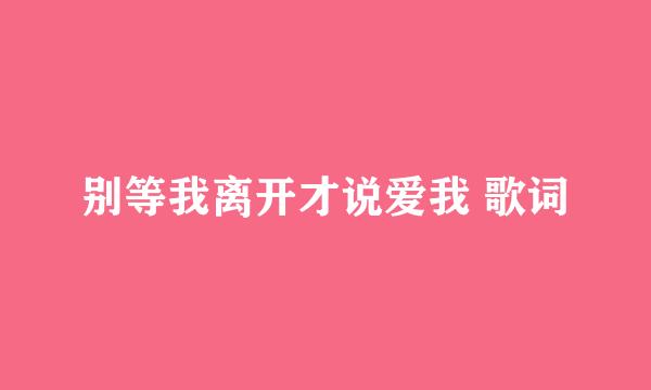 别等我离开才说爱我 歌词