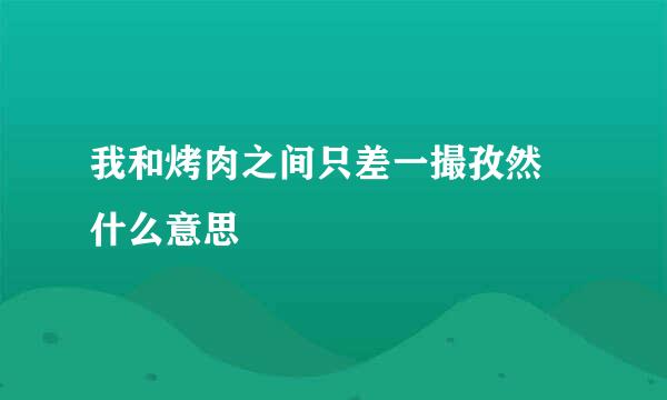 我和烤肉之间只差一撮孜然 什么意思