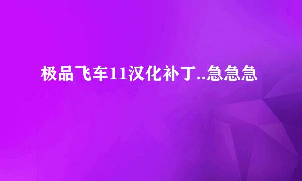 极品飞车11汉化补丁..急急急