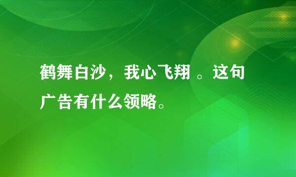 鹤舞白沙，我心飞翔 。这句广告有什么领略。