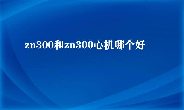 zn300和zn300心机哪个好