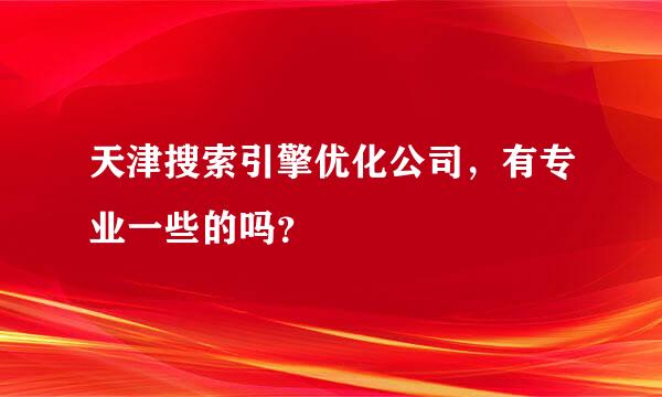 天津搜索引擎优化公司，有专业一些的吗？