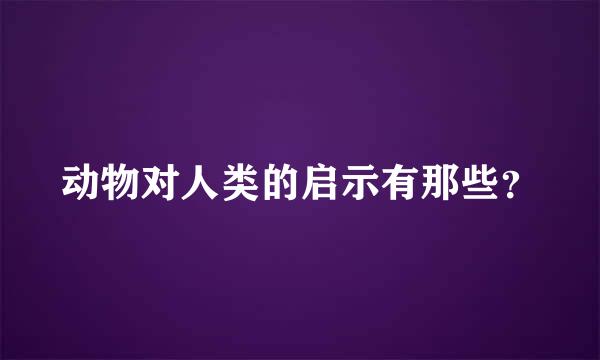 动物对人类的启示有那些？