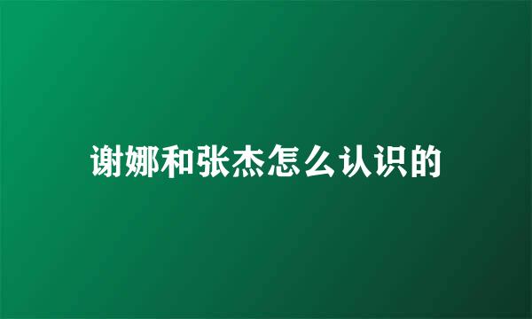 谢娜和张杰怎么认识的