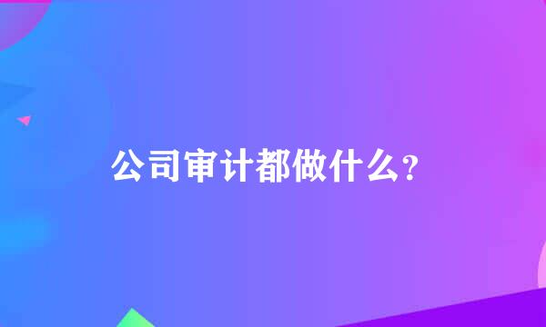 公司审计都做什么？