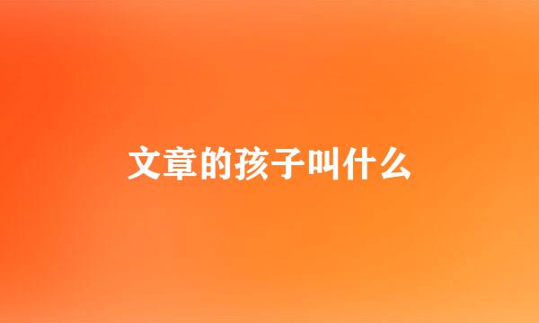 文章的孩子叫什么