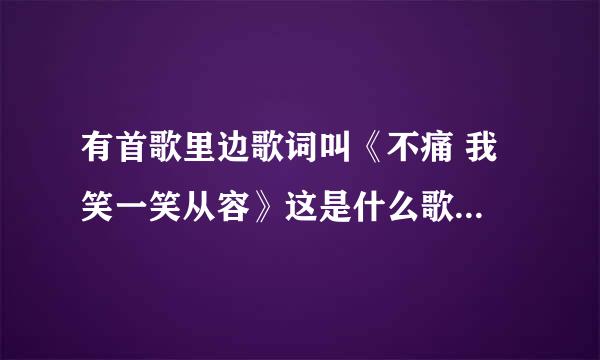 有首歌里边歌词叫《不痛 我笑一笑从容》这是什么歌...