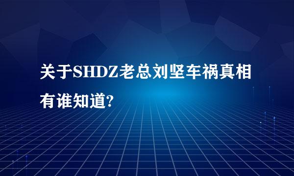 关于SHDZ老总刘坚车祸真相有谁知道?