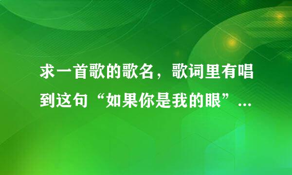 求一首歌的歌名，歌词里有唱到这句“如果你是我的眼”男生唱的。