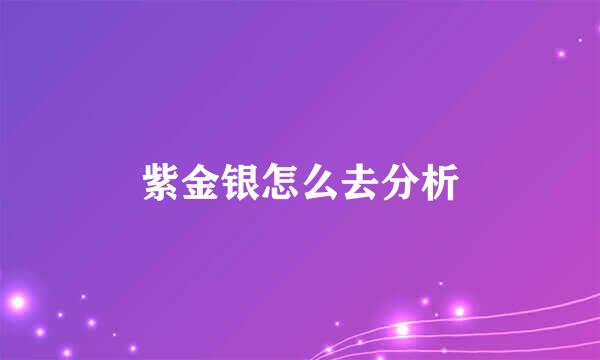 紫金银怎么去分析