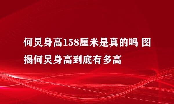 何炅身高158厘米是真的吗 图揭何炅身高到底有多高