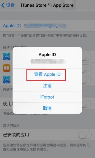 App Store如何切换至中国商店？