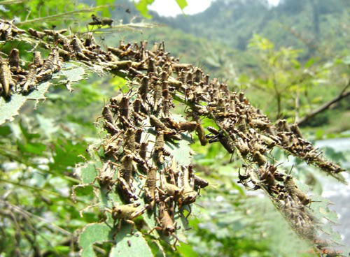 地震瞬间昆明中学生1秒抱头避震，是否还会有余震的发生？