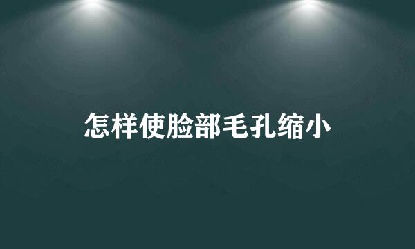 怎样使脸部毛孔缩小