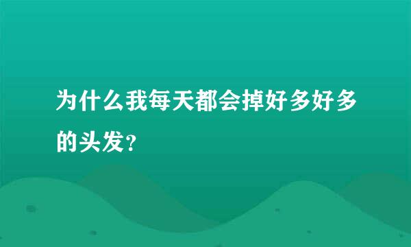 为什么我每天都会掉好多好多的头发？