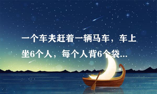 一个车夫赶着一辆马车，车上坐6个人，每个人背6个袋子，每个袋子装6只