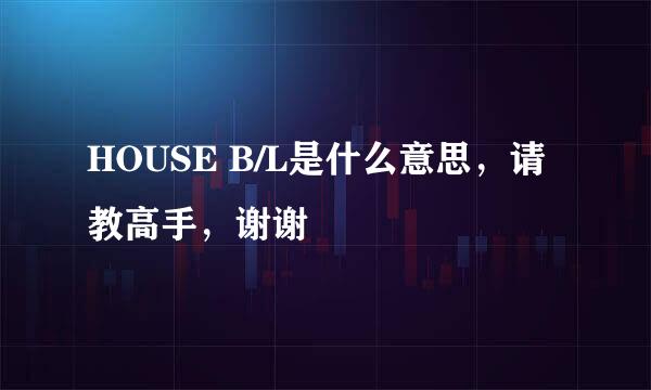 HOUSE B/L是什么意思，请教高手，谢谢