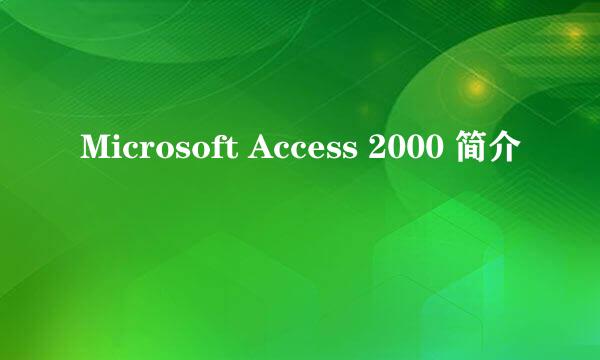 Microsoft Access 2000 简介