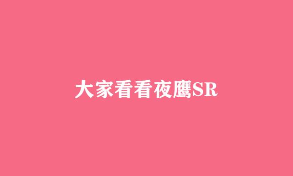 大家看看夜鹰SR