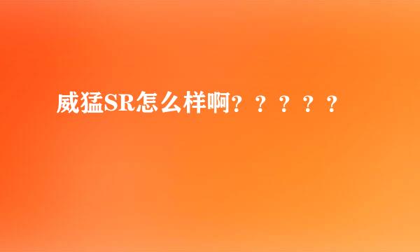 威猛SR怎么样啊？？？？？