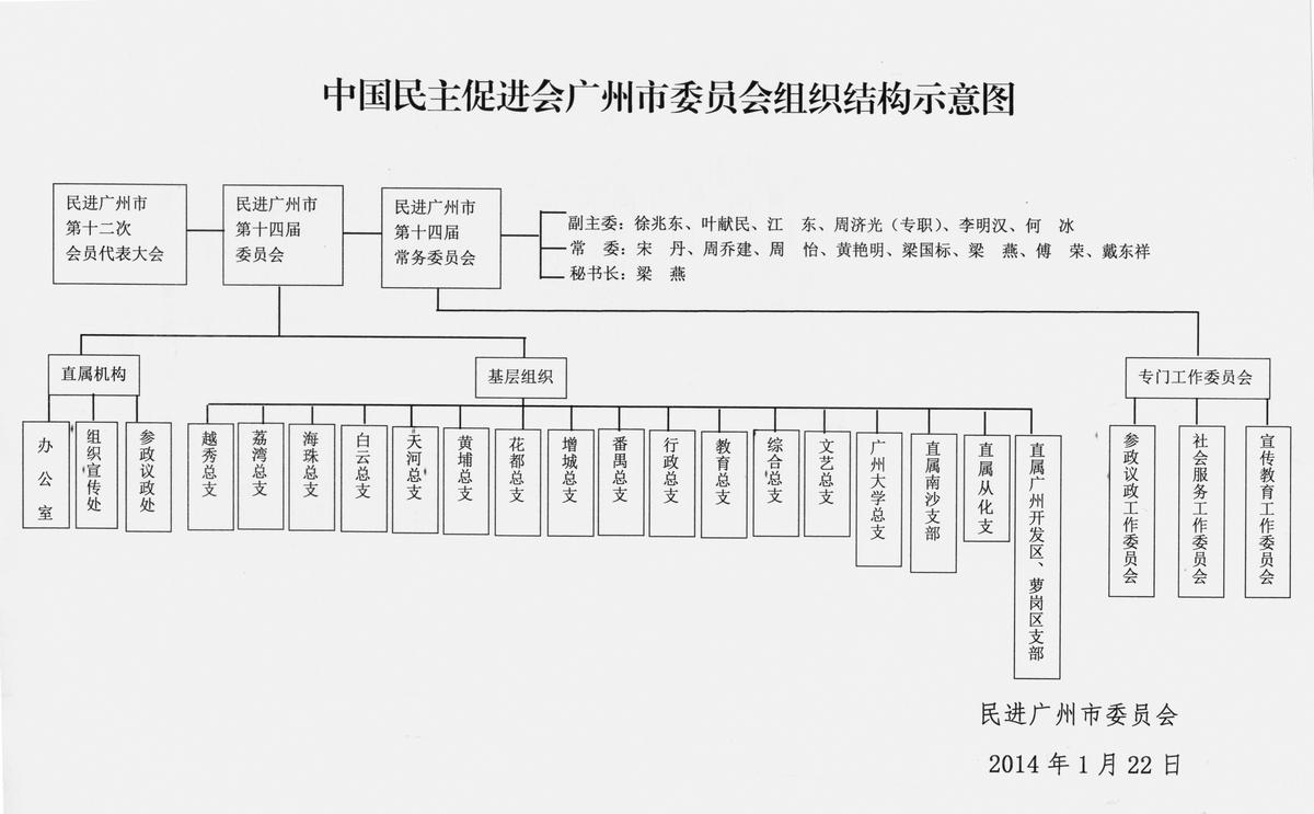 救国委员会的组织结构