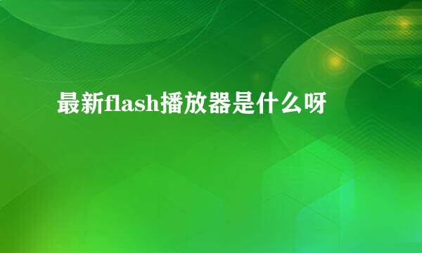 最新flash播放器是什么呀