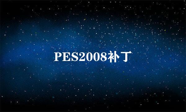 PES2008补丁