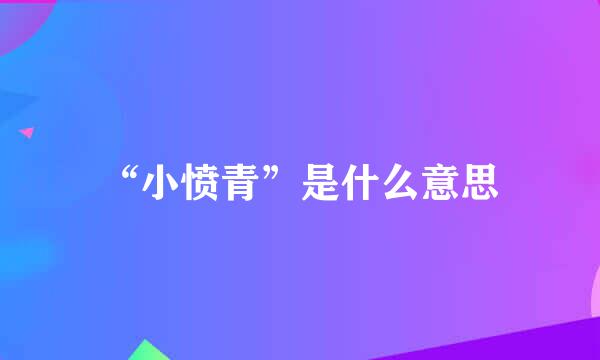 “小愤青”是什么意思