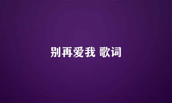 别再爱我 歌词