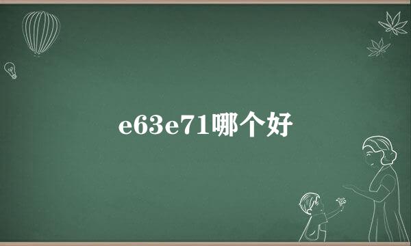 e63e71哪个好