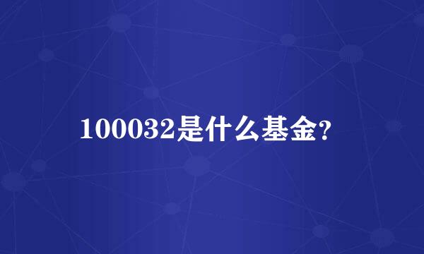 100032是什么基金？