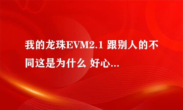 我的龙珠EVM2.1 跟别人的不同这是为什么 好心人告诉一下谢谢了^-^