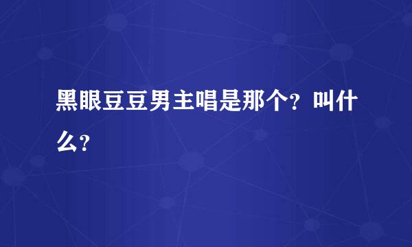 黑眼豆豆男主唱是那个？叫什么？