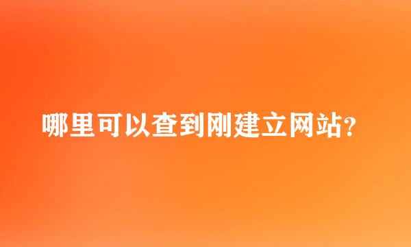 哪里可以查到刚建立网站？