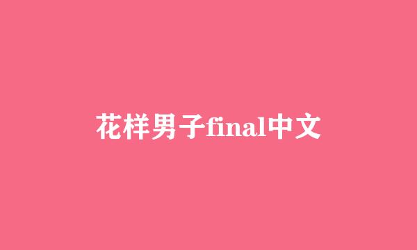 花样男子final中文