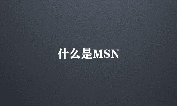 什么是MSN