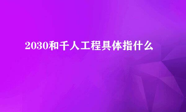 2030和千人工程具体指什么