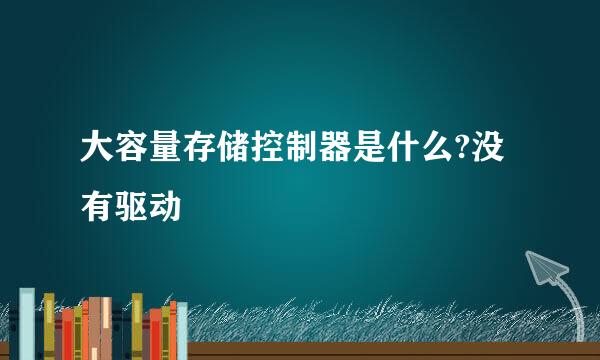 大容量存储控制器是什么?没有驱动