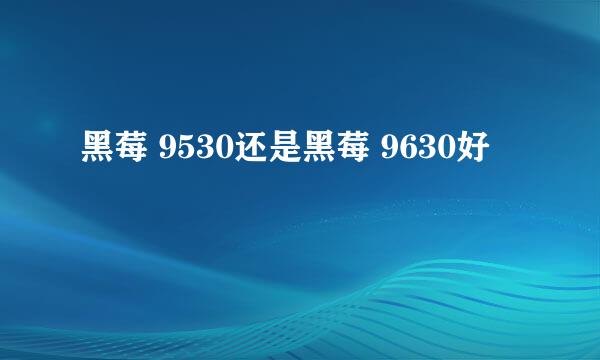 黑莓 9530还是黑莓 9630好