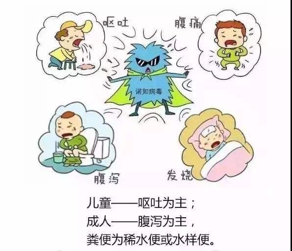 四川幼儿园学生感染诺如病毒，什么是诺如病毒？