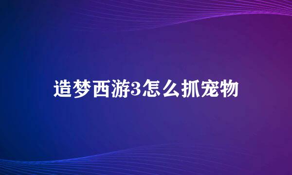 造梦西游3怎么抓宠物