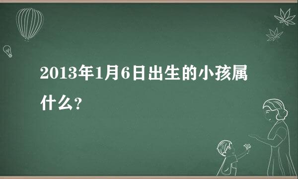 2013年1月6日出生的小孩属什么？