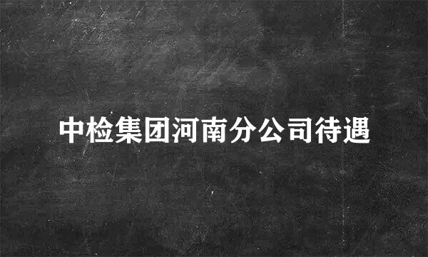 中检集团河南分公司待遇