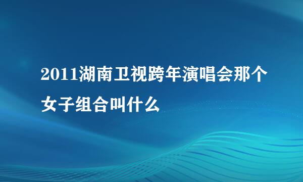 2011湖南卫视跨年演唱会那个女子组合叫什么