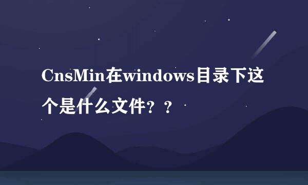 CnsMin在windows目录下这个是什么文件？？