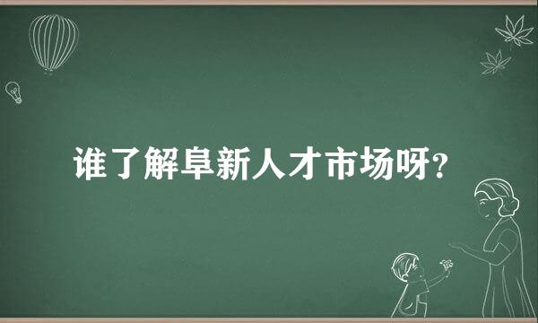 谁了解阜新人才市场呀？