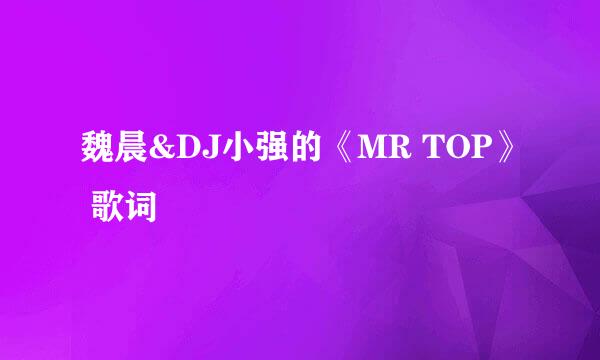 魏晨&DJ小强的《MR TOP》 歌词